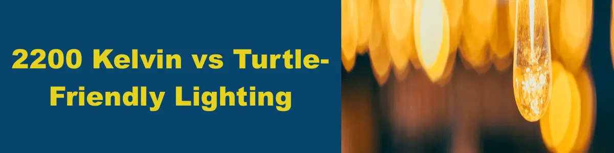 What's The Difference- 2200K vs Turtle Friendly Lighting