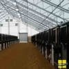 Horse Stable Lighting: How to Safely Light Your Stall