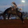 Rodeo Arena Lighting: Safe, Efficient Lighting Solution